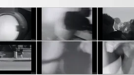 Interactive - Who Is Elvis