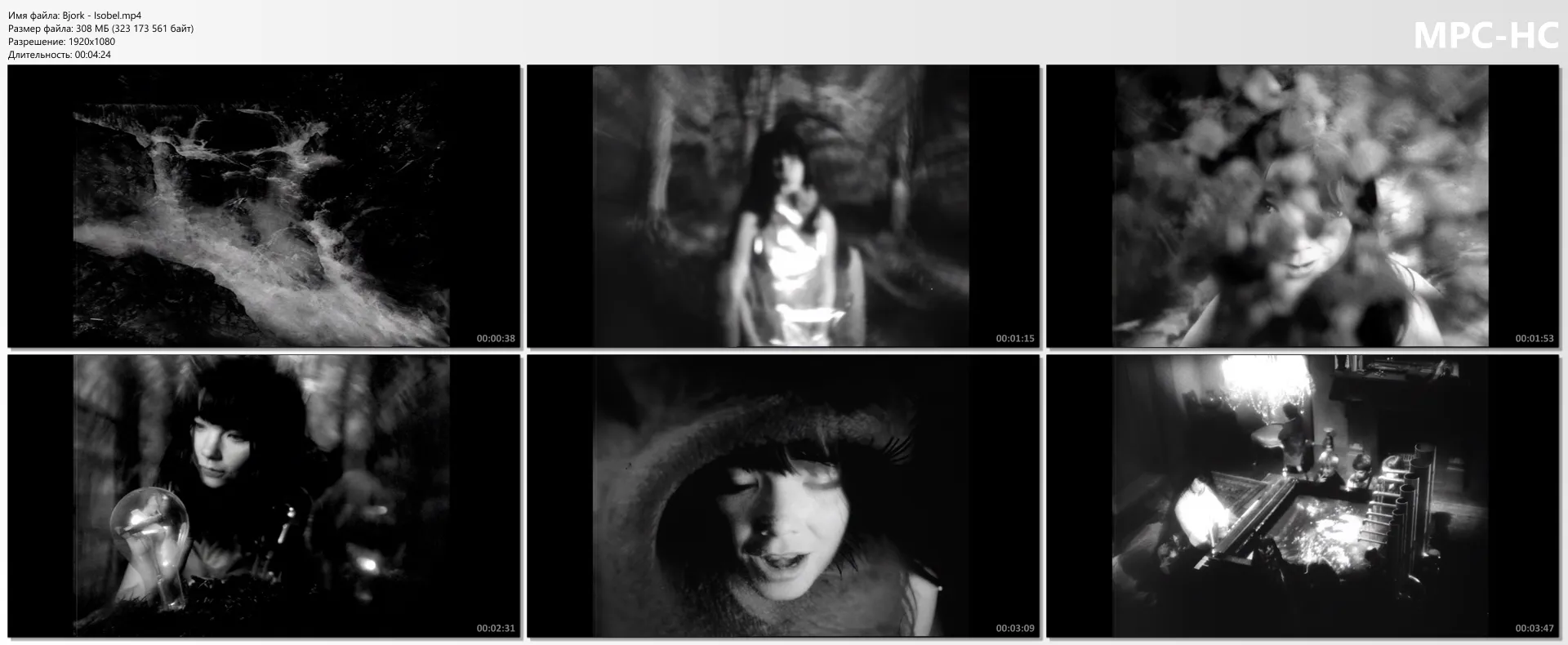 Björk - Isobel