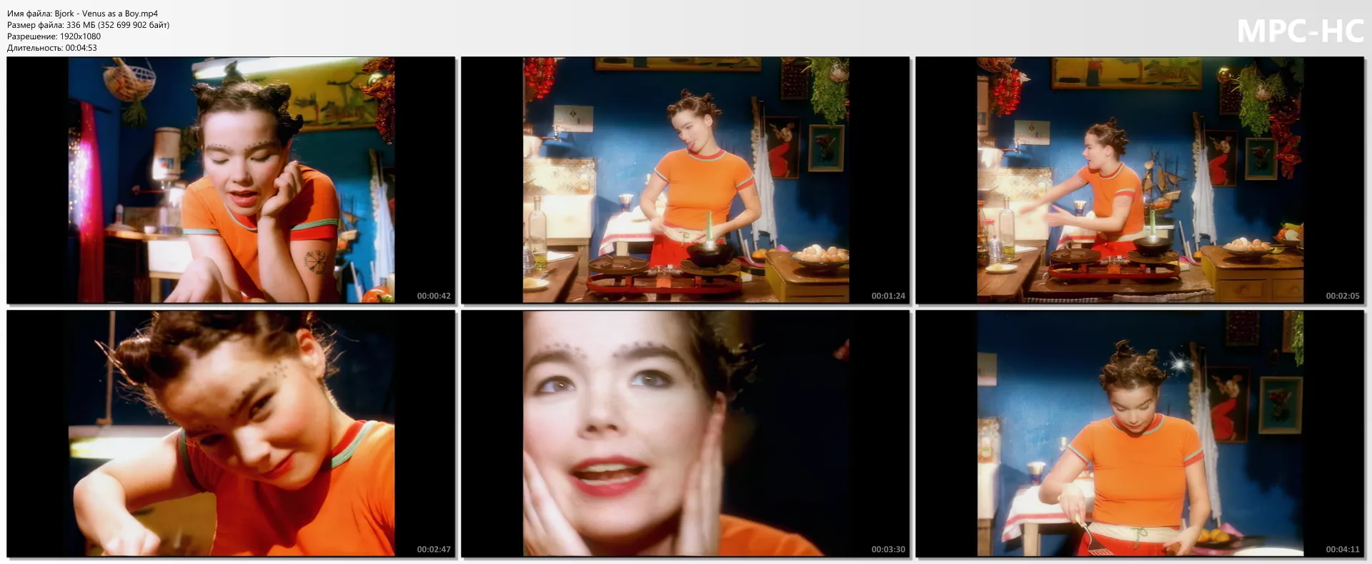 Björk - Venus as a Boy