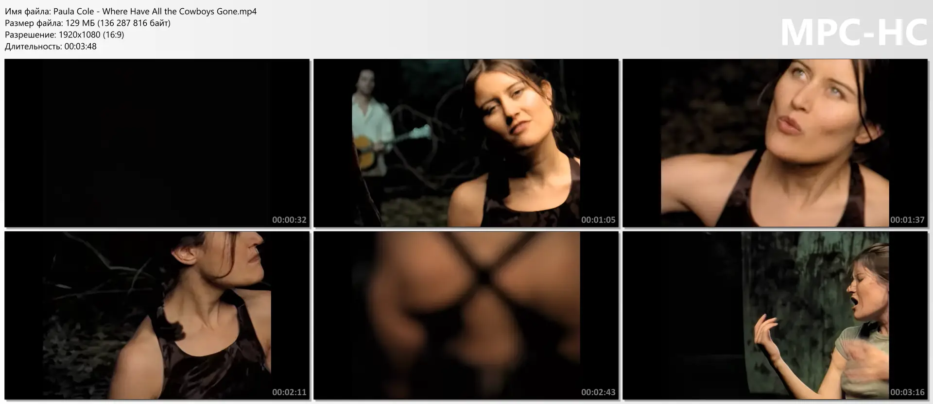 Paula Cole - Where Have All the Cowboys Gone