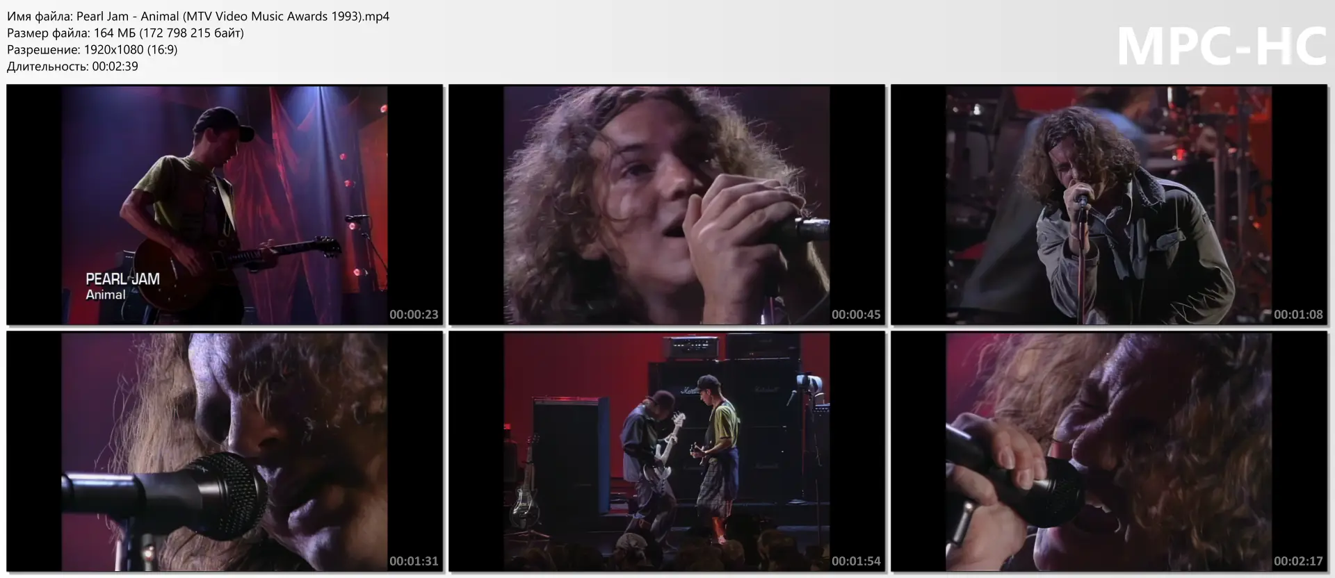 Pearl Jam - Animal