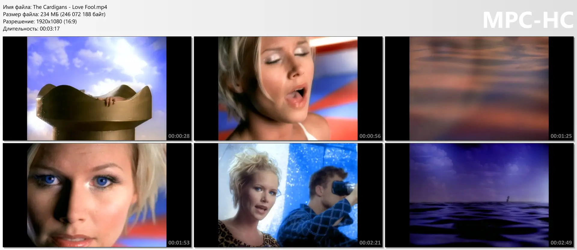 download | скачать The Cardigans - Love Fool