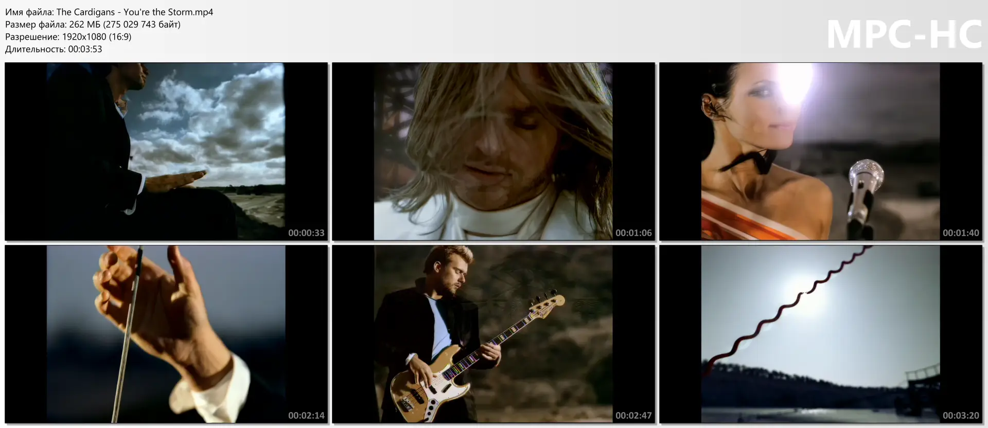 download | скачать The Cardigans - You're the Storm