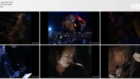 Metallica - No Leaf Clover
