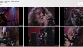 Pearl Jam - Animal