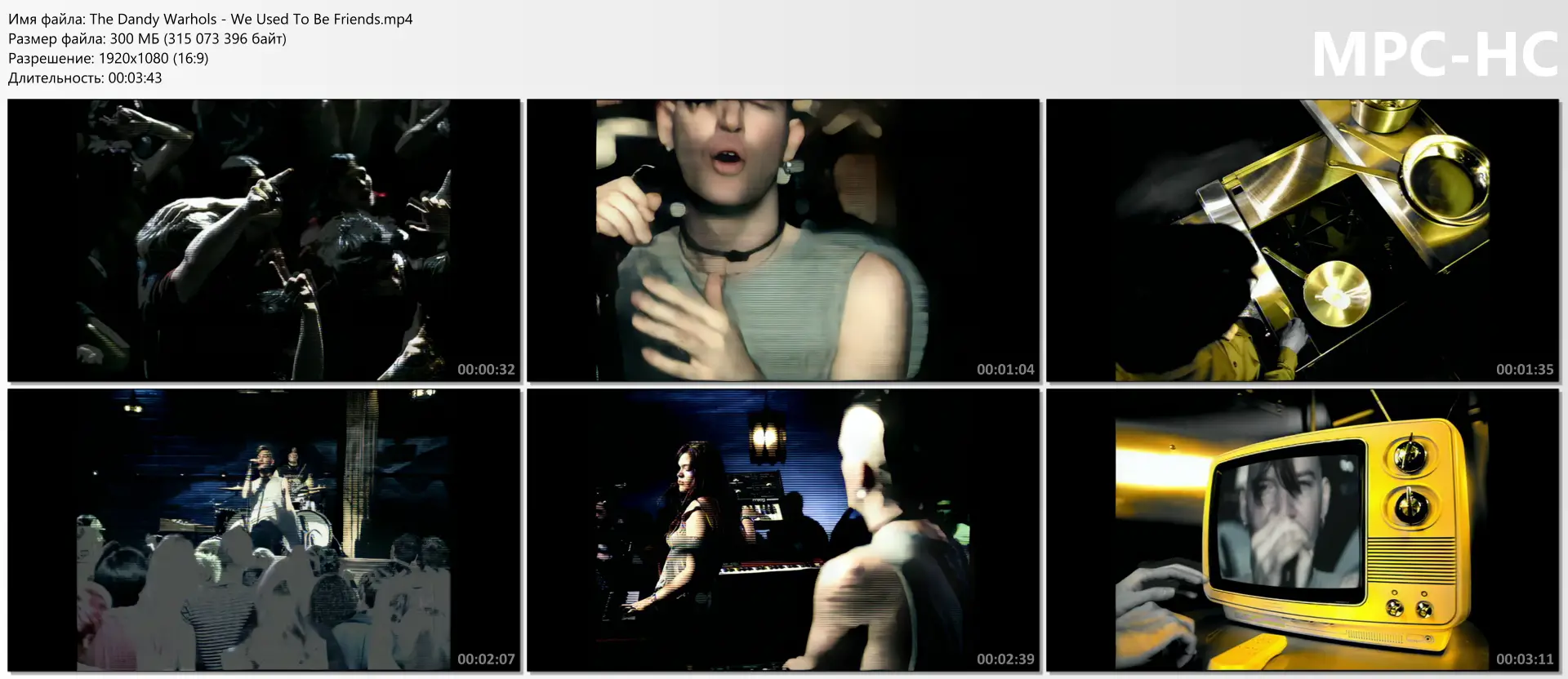 download | скачать The Dandy Warhols - We Used To Be Friends