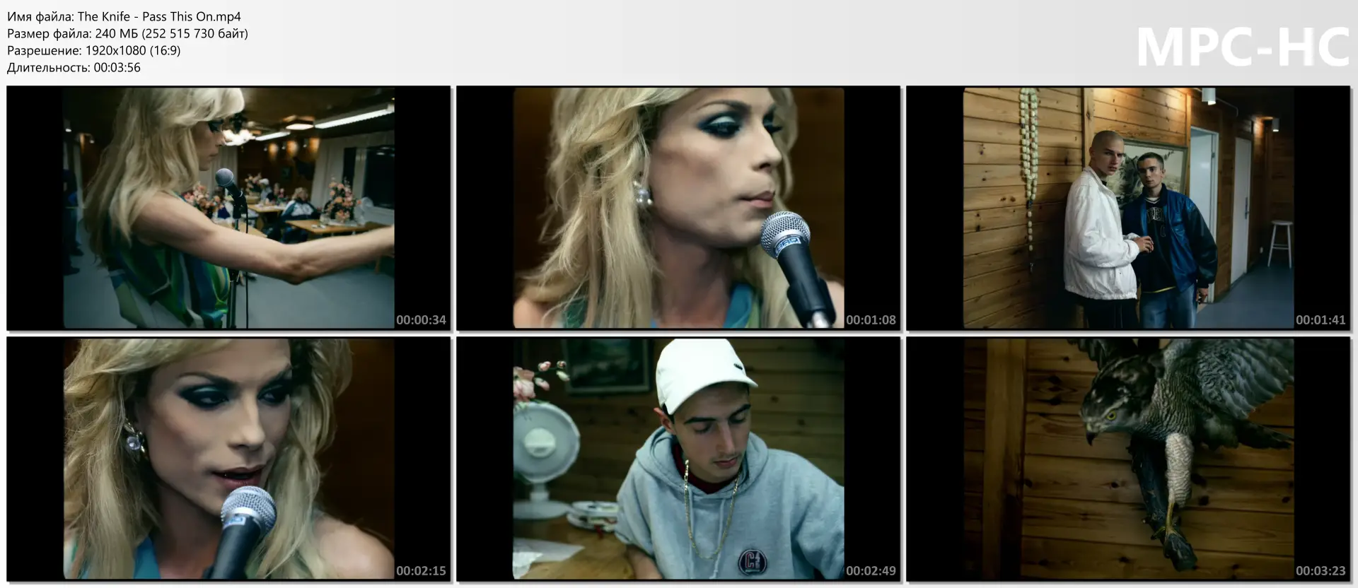 download | скачать The Knife - Pass This On