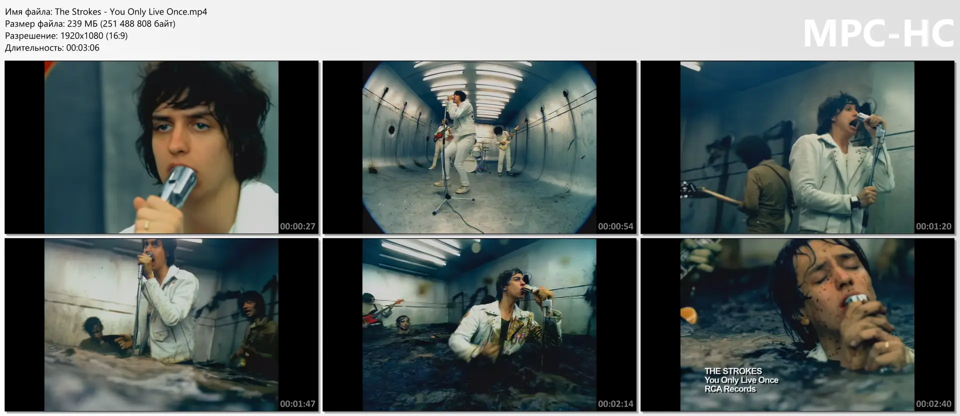 download | скачать The Strokes - You Only Live Once