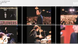 The Wallflowers - The Difference