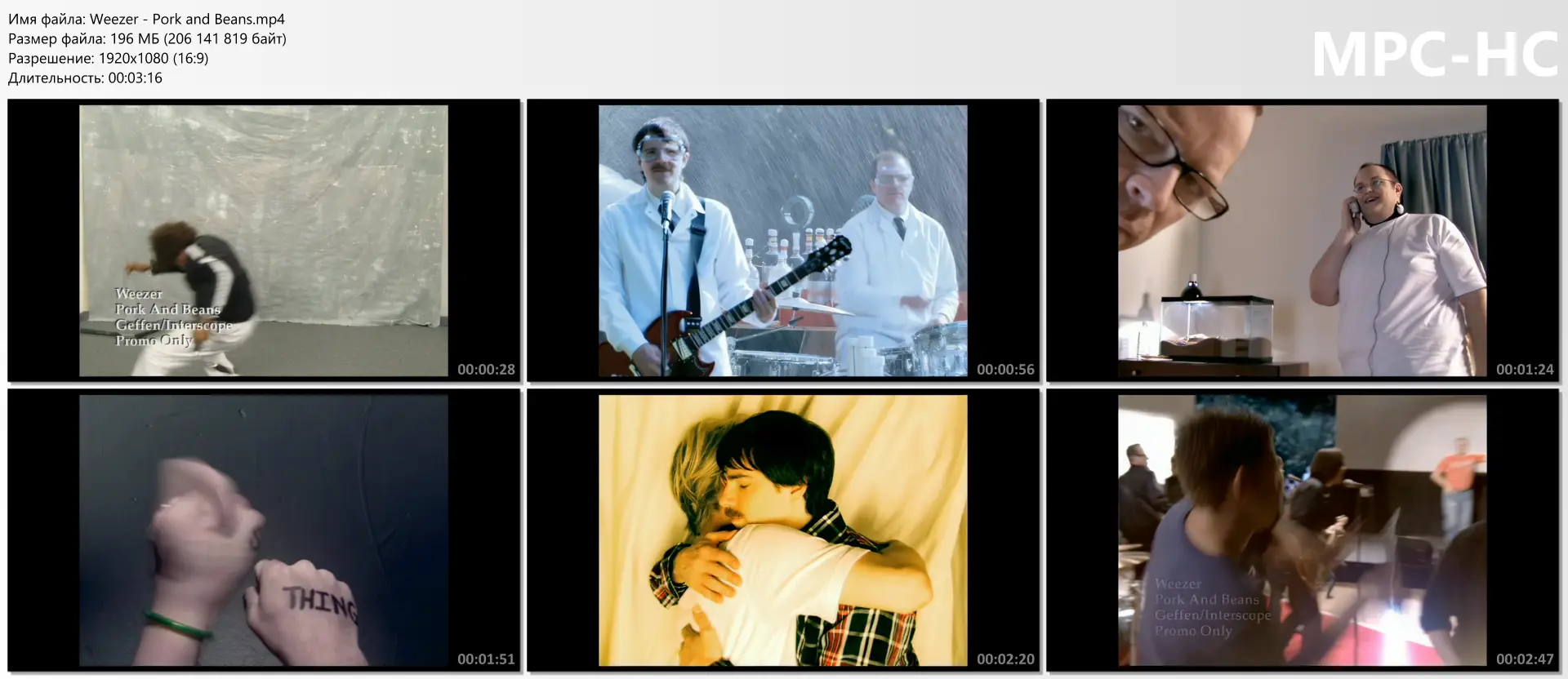 download | скачать Weezer - Pork and Beans